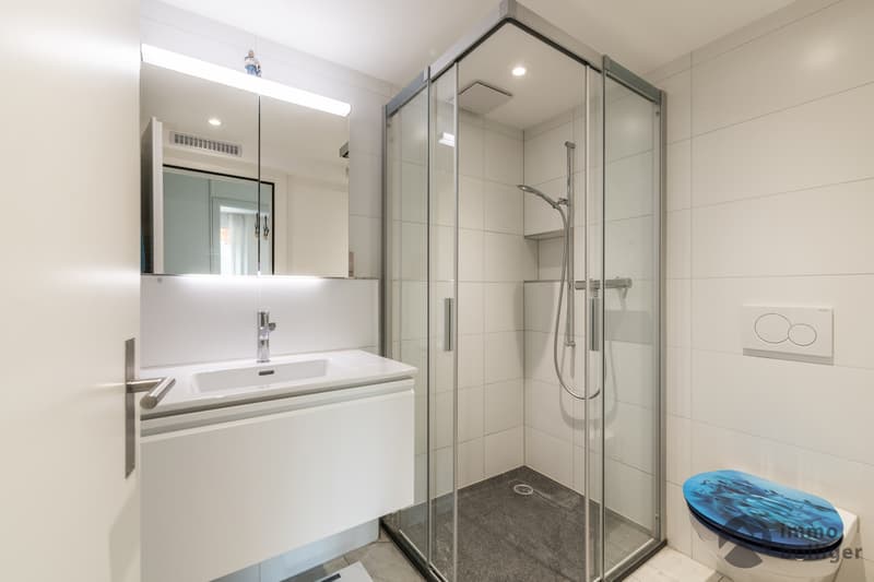 A contatto con la natura a Zofingen - casa di 2 famiglie con potenziale di attico (6)
