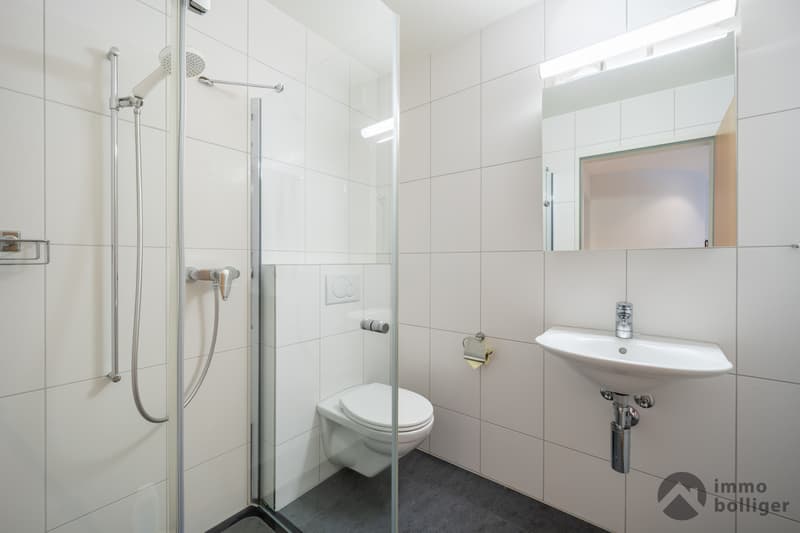 Maison à deux familles avec un certain je-ne-sais-quoi ! (13)