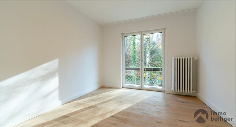Casa modernamente ristrutturata in una posizione ambita a Olten (7)