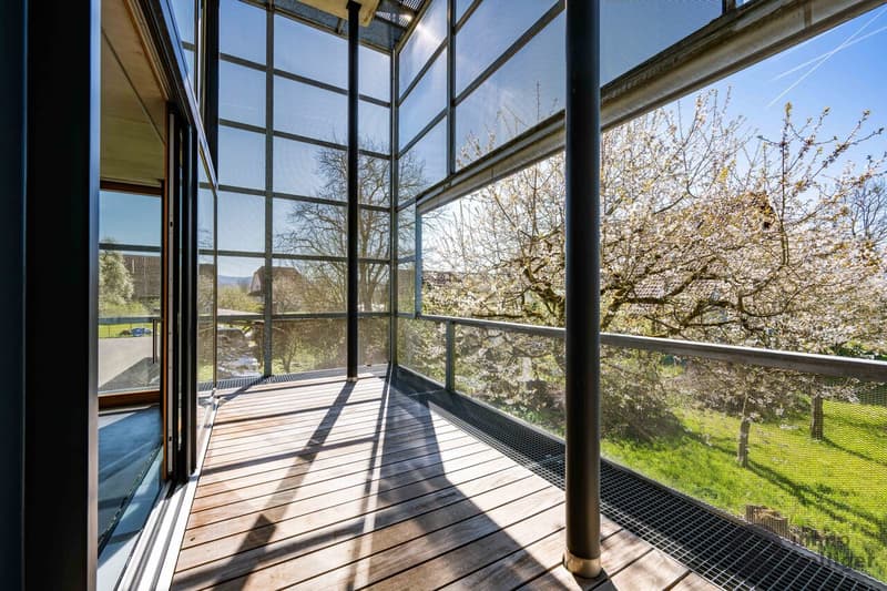 A home like no other - architecture with character (3)
