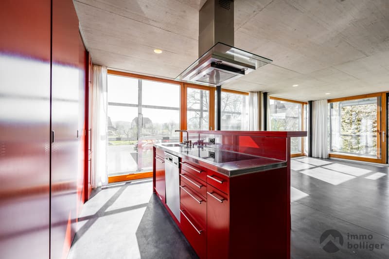 A home like no other - architecture with character (5)