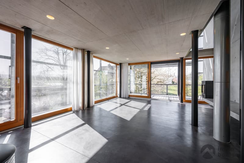 A home like no other - architecture with character (2)