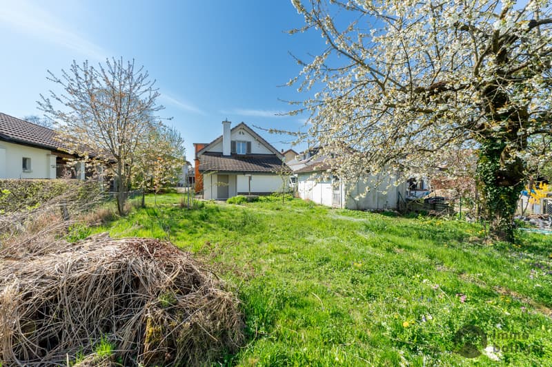 Gut unterhaltenes Einfamilienhaus mit Gartenparadies (11)