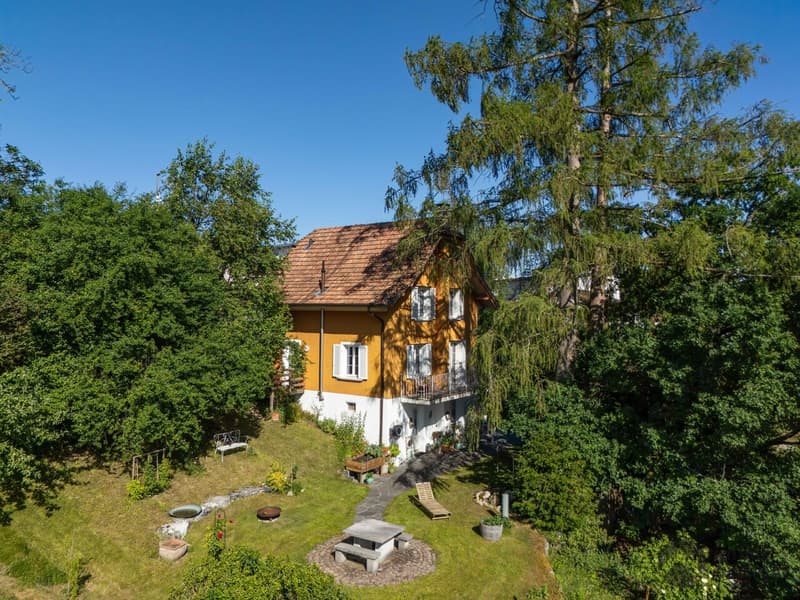 Ein Zuhause zum Verlieben in Rothrist (10)