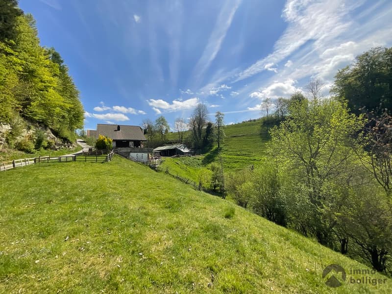 Ihr Zuhause mit Aussicht und viel Freiraum (10)