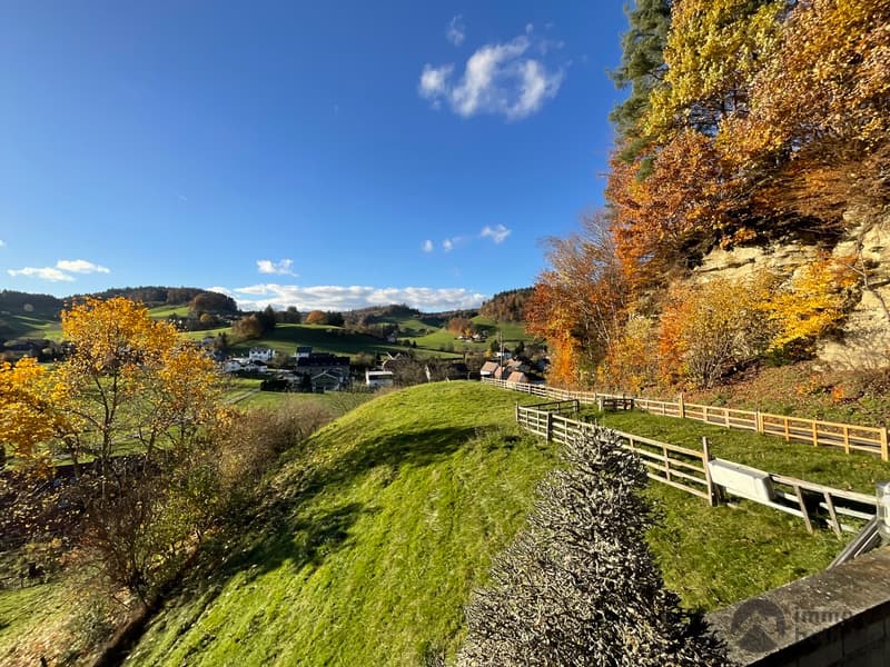 Ihr Zuhause mit Aussicht und viel Freiraum (13)