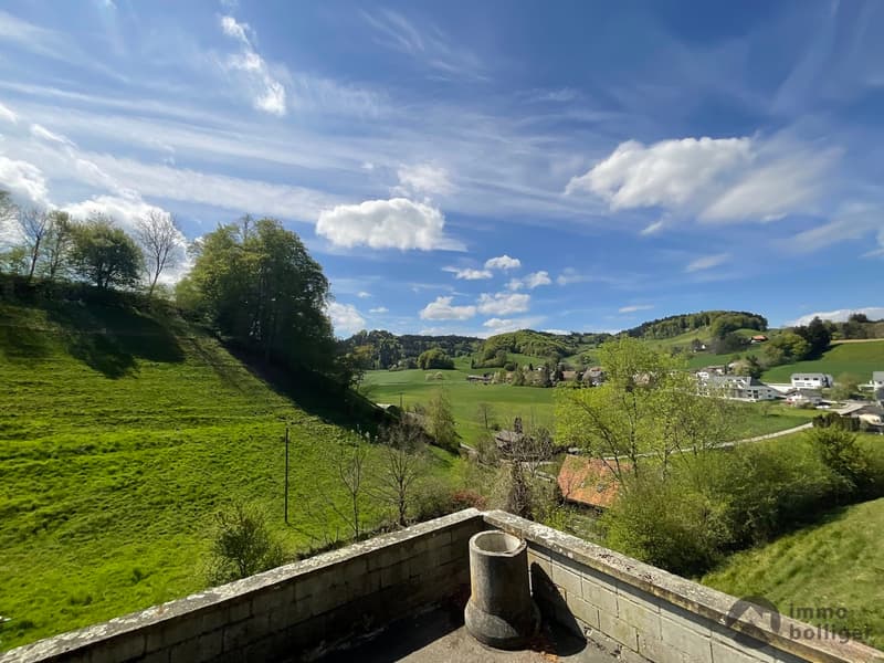 Ihr Zuhause mit Aussicht und viel Freiraum (9)