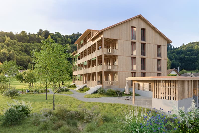 Wohnen im Baumgarten: Holzbau mit Charme und Weitblick (1)