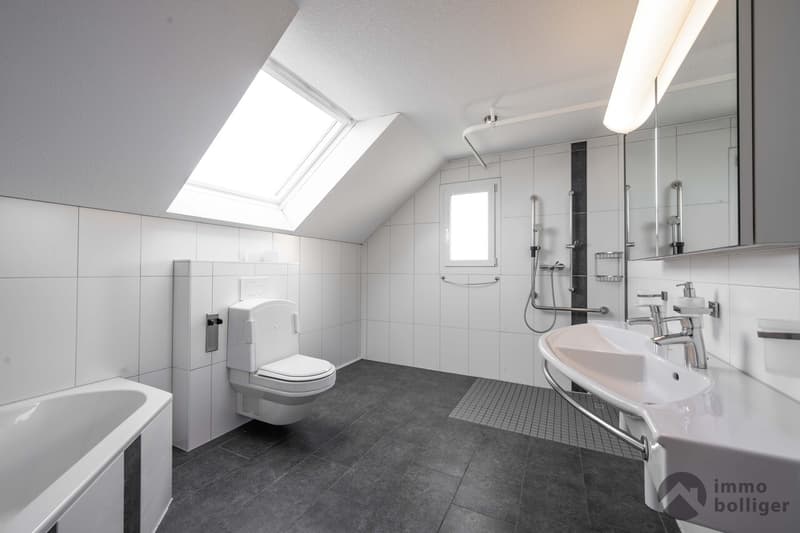 Spitziges Haus an spitzer Lage (9)