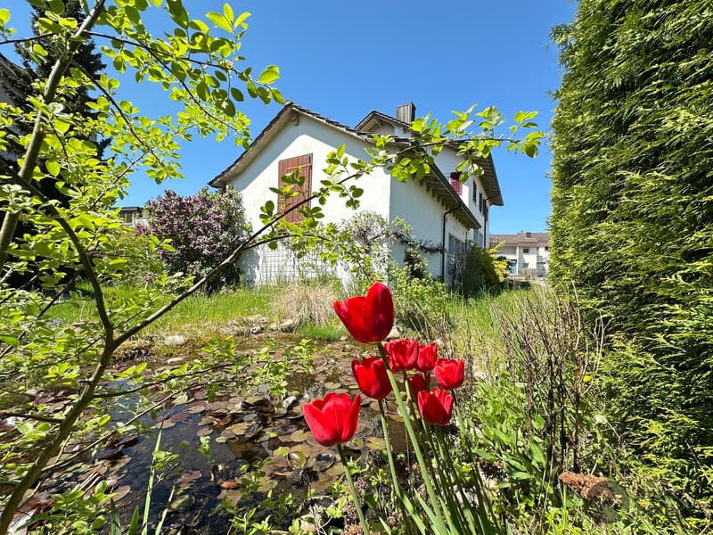 Projektliegenschaft mit >300 m2 Wohnfläche, Werkstatt & Ladenlokal (10)