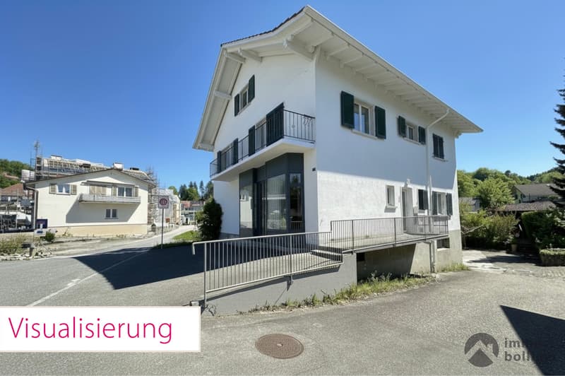 Projektliegenschaft mit >300 m2 Wohnfläche, Werkstatt & Ladenlokal (1)