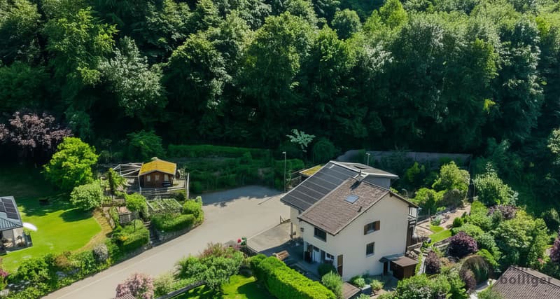 Ihr Zuhause mit Gartenparadies - Zwei Parzellen, viele Möglichkeiten (10)
