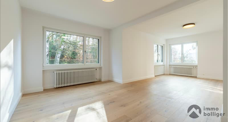 Modern saniertes Haus an begehrter Lage in Olten (4)