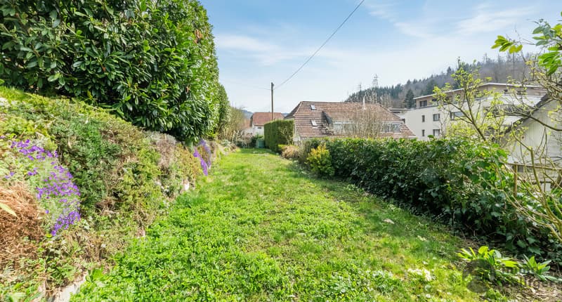 Naturnah in Zofingen - 2-Familienhaus mit Attika-Potenzial (10)