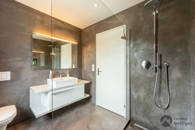 Wunderschöne 4 ½ Zimmer Wohnung in Zofingen (7)