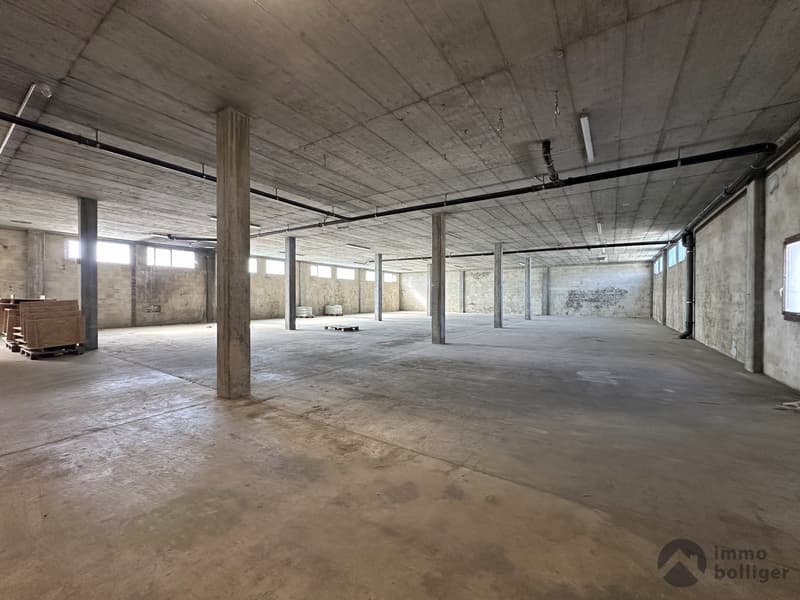 Ein Standort. Viele Möglichkeiten. Gewerbe, Lager und Büro vereint. (6)