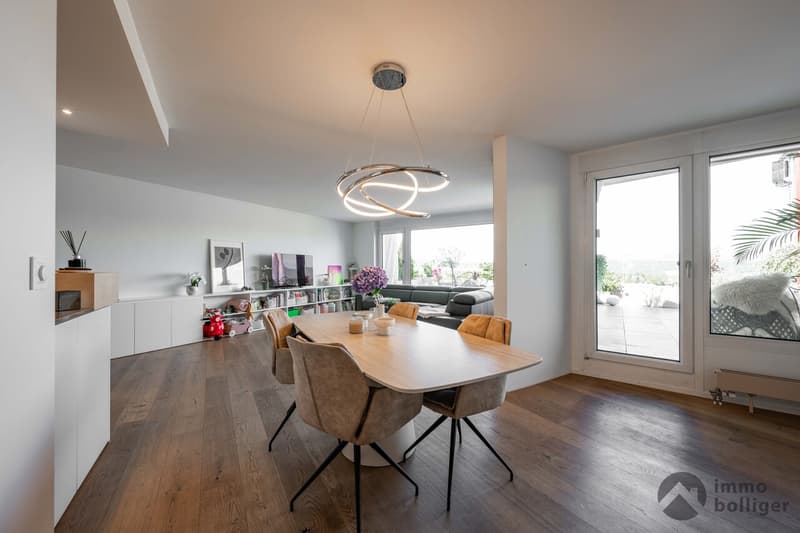 Über den Dächern - 96 m2 Terrasse mit Weitblick (2)