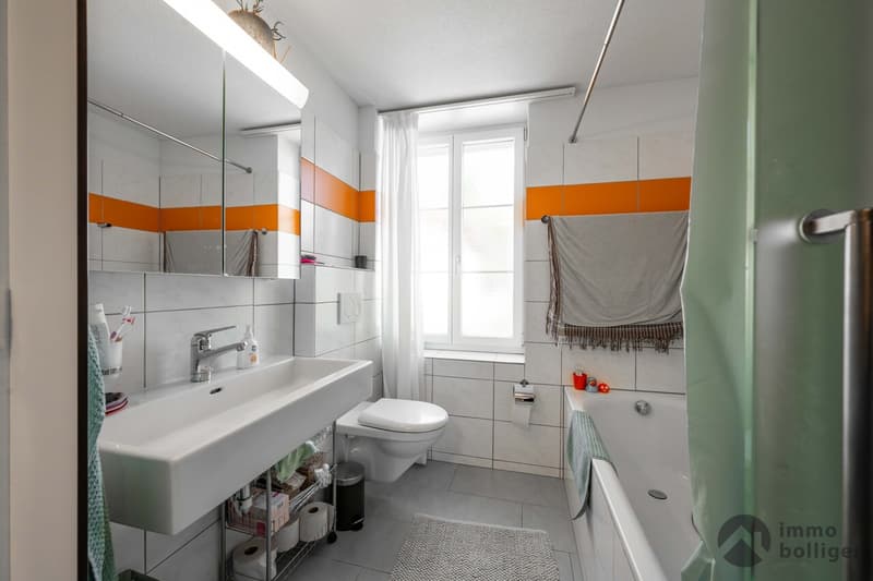 Wohnen, Gewerbe, Bauland - Rendite mit Potenzial in Reitnau (11)