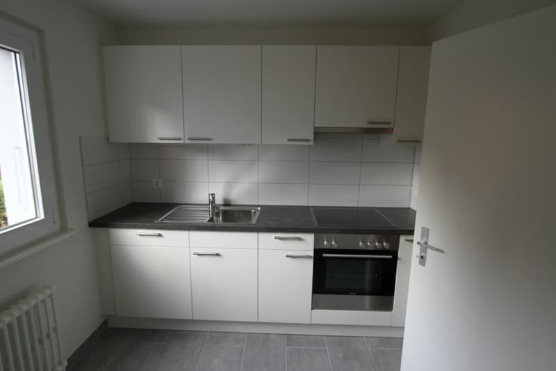 Appartement de 3.5 pièces neuf (2)