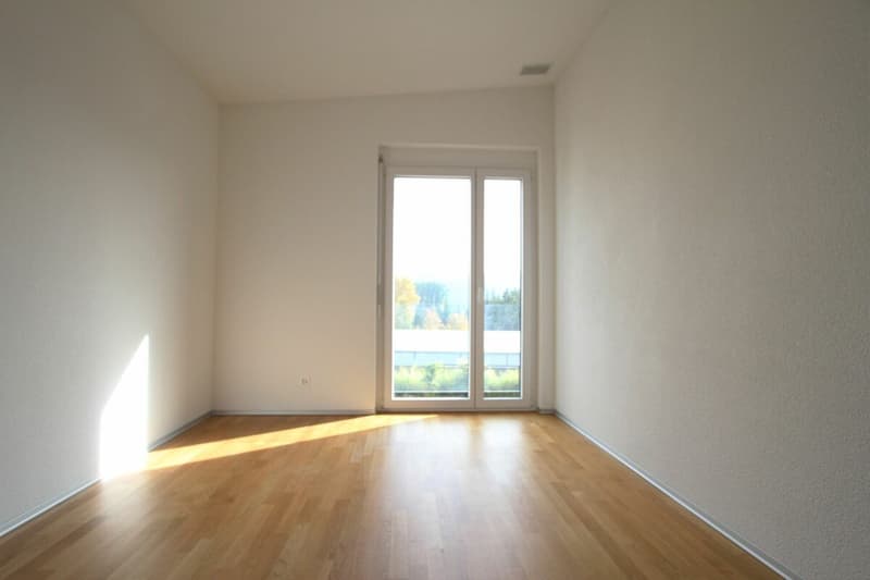 Appartement de 3.5 pièces en attique (5)