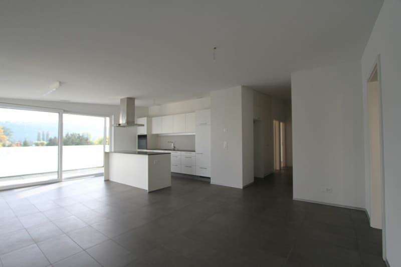 Appartement de 3.5 pièces en attique (3)