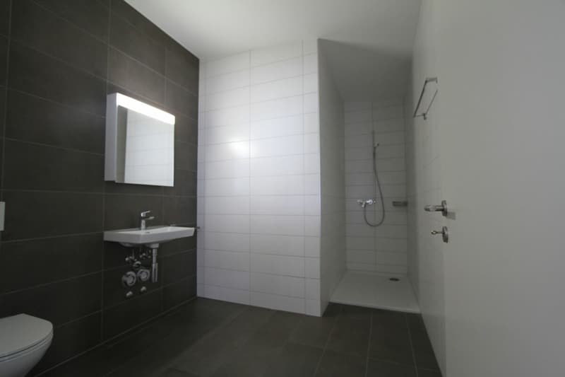 Appartement de 3.5 pièces en attique (8)