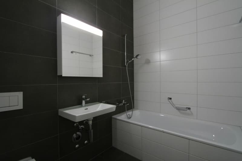 Appartement de 3.5 pièces en attique (6)