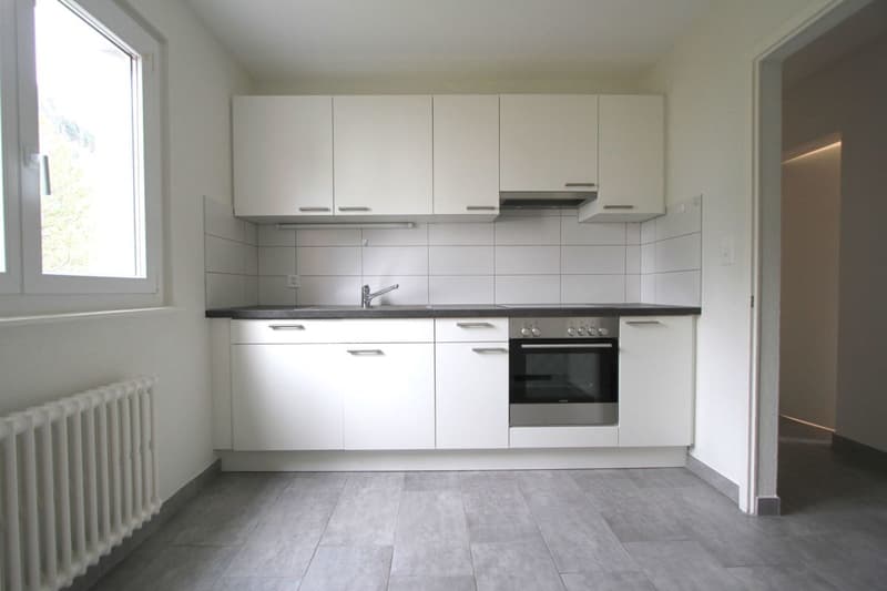 Appartement de 4.5 pièces avec balcon (2)