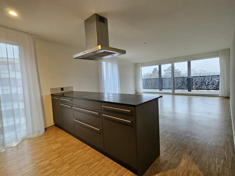 Appartement de 4.5 pièces au 5ème étage (6)