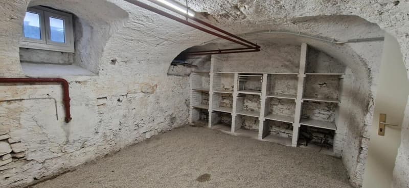Caves rénovées à louer (4)