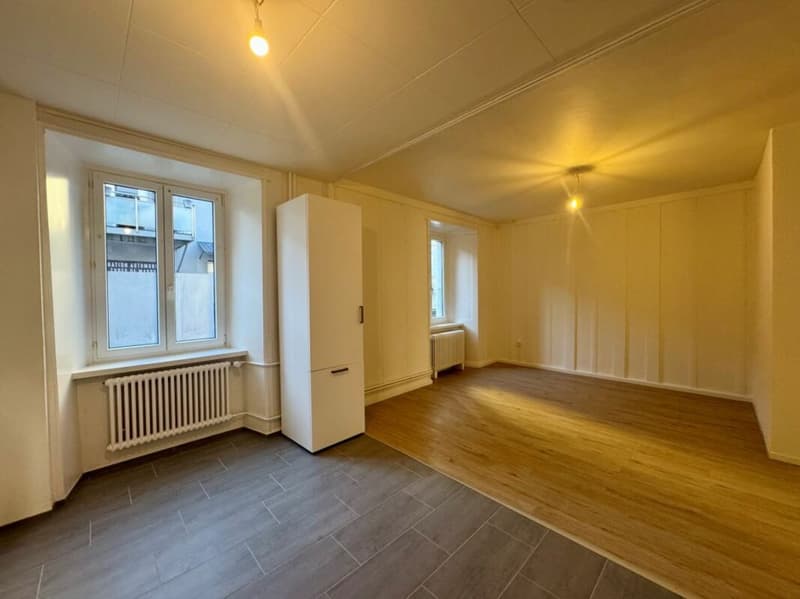 Rénové ! 1er LOYER net OFFERT ! (6)
