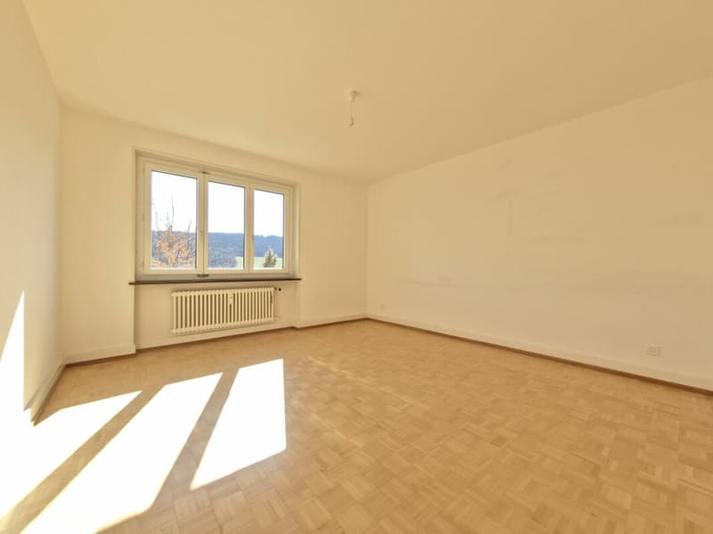 Appartement de 3 pièces au rez (3)