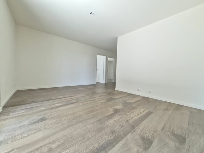 Appartement de 3.5 pièces au RDC (4)