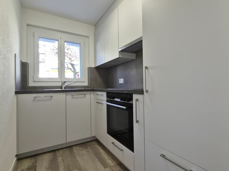 Appartement de 3.5 pièces au RDC (2)