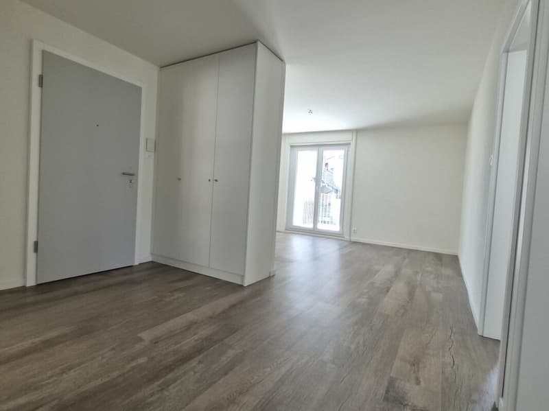 Appartement de 3.5 pièces au RDC (3)