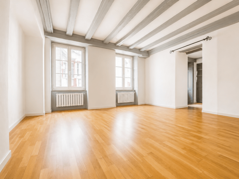 Appartement de 4.5 pièces avec voutes apparentes (2)