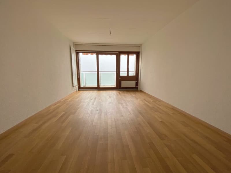 Studio avec balcon et vue sur le lac (4)