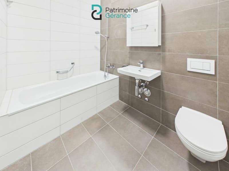 Appartement de 3.5 pièces en attique (15)