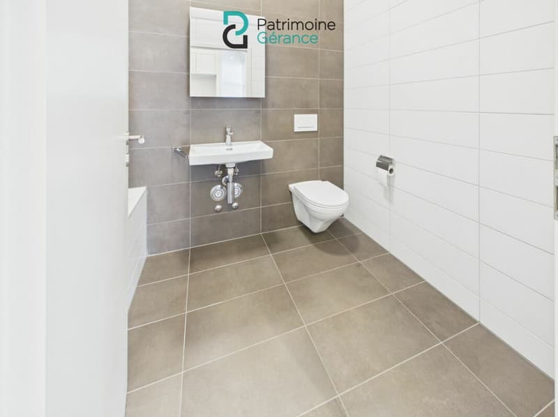 Appartement de 3.5 pièces en attique (13)