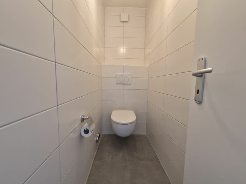 Rénové ! Appartement de 4.5 pièces au rez supérieur (14)