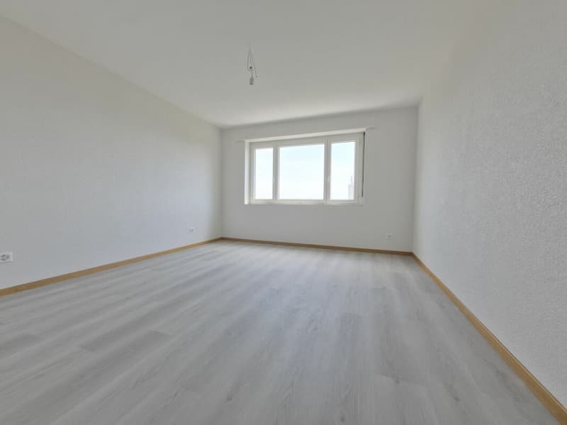 Rénové ! Appartement de 4.5 pièces au rez supérieur (13)