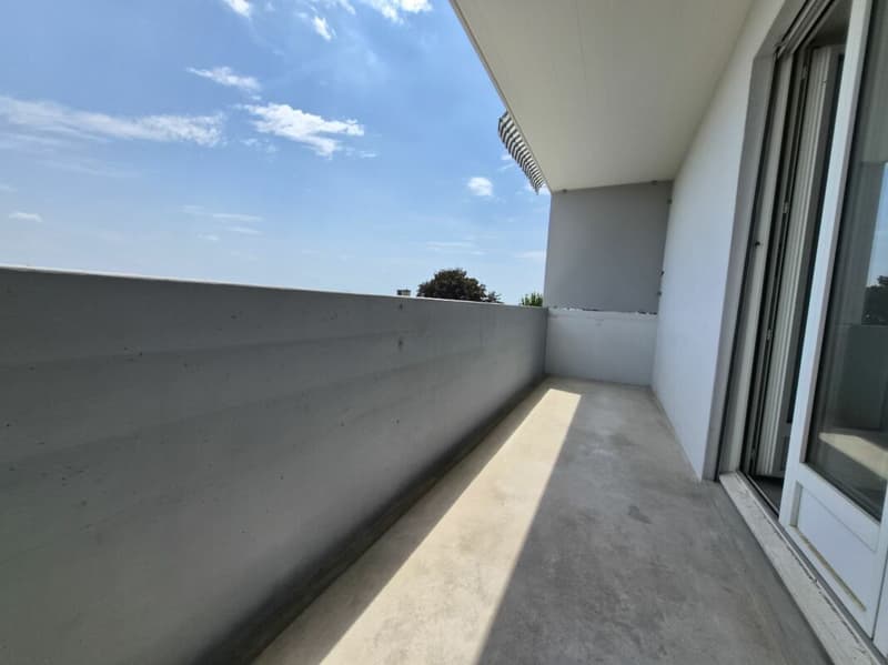 Rénové ! Appartement de 4.5 pièces au rez supérieur (16)