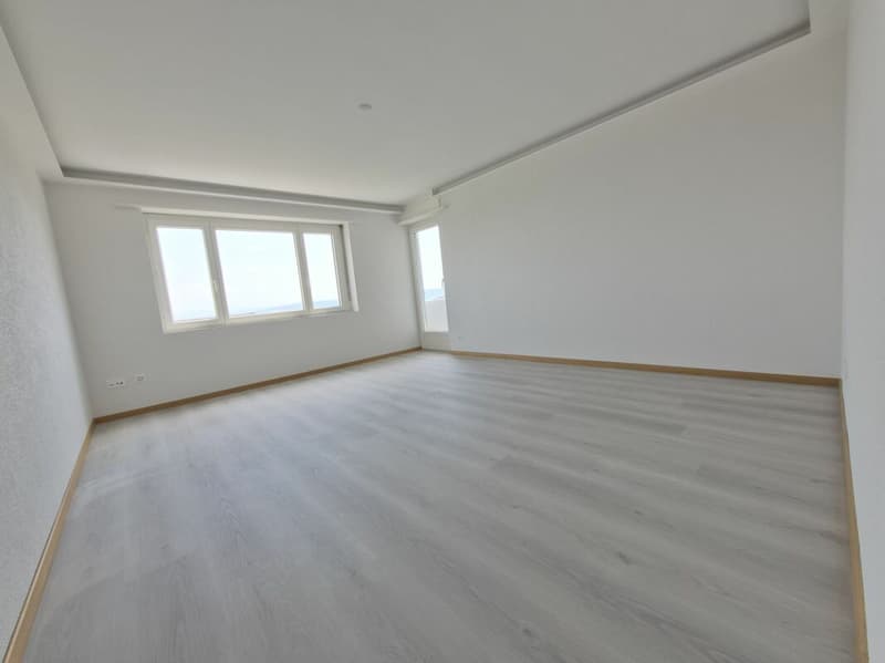 Rénové ! Appartement de 4.5 pièces au rez supérieur (10)