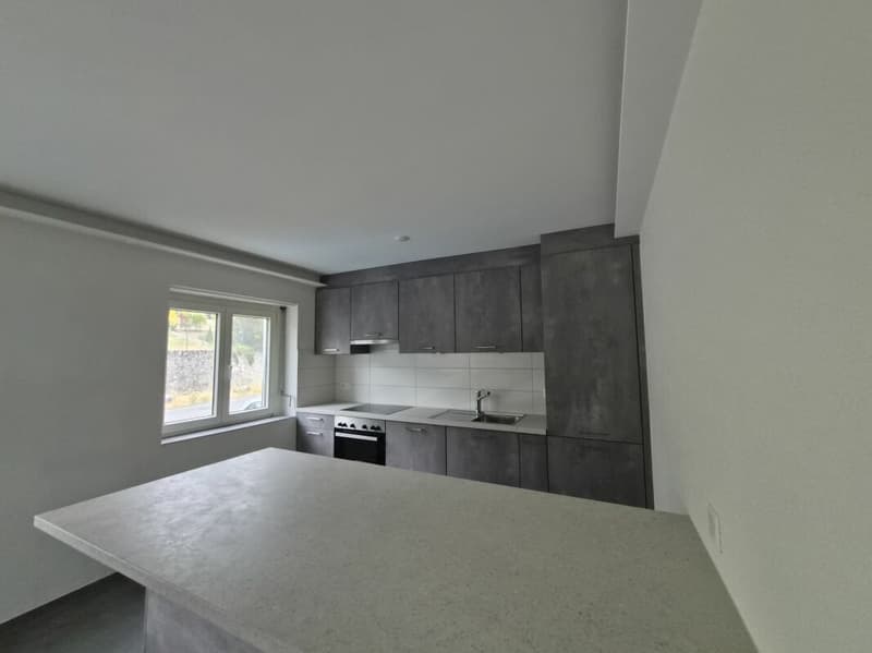 Rénové ! Appartement de 4.5 pièces au rez supérieur (6)