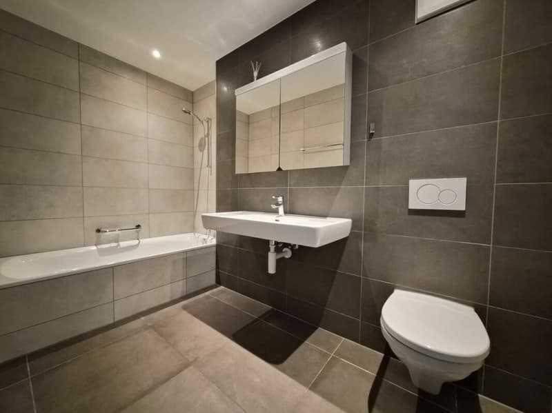 Appartement de 3.5 pièces au rez (14)