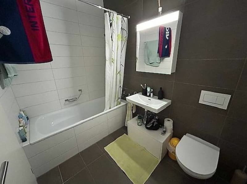 Appartement de 3.5 pièces en attique (4)