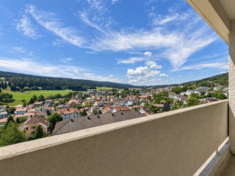 Rénové ! Appartement de 3 pièces au 7ème étage (19)