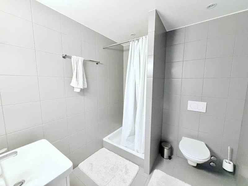 Spacieux ! Appartement de 2.5 pièces avec balcon (5)