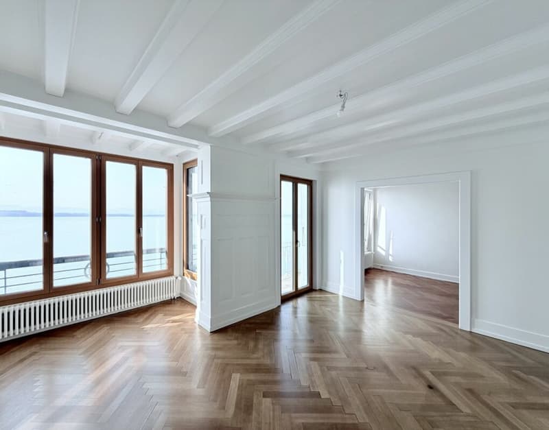 Rénové ! Duplex de 4.0 pièces avec vue sur le lac ! (2)