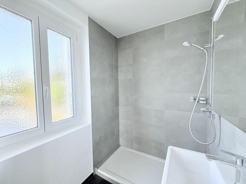 Rénové ! Duplex de 4.0 pièces avec vue sur le lac ! (8)